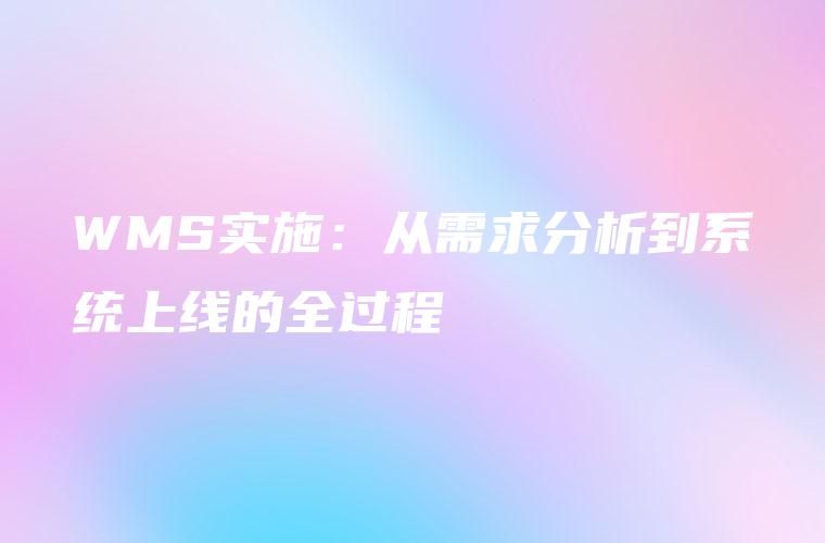 WMS实施：从需求分析到系统上线的全过程
