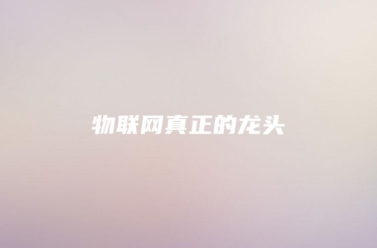 物联网真正的龙头 物联网真正的龙头