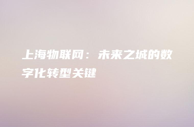 上海物联网：未来之城的数字化转型关键