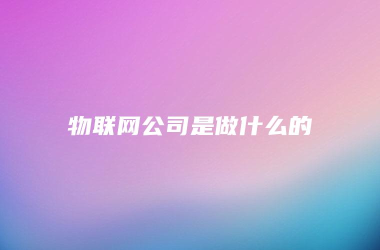 物联网公司是做什么的