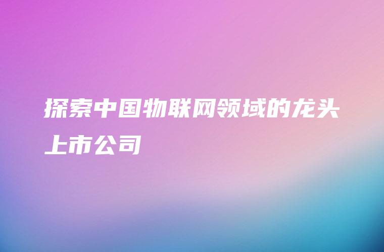 探索中国物联网领域的龙头上市公司