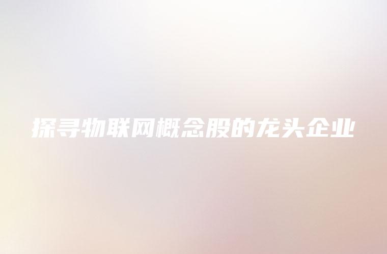探寻物联网概念股的龙头企业