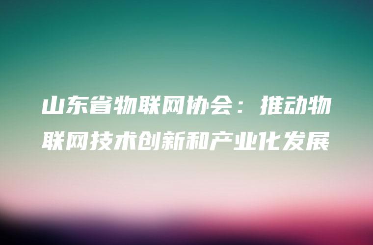 山东省物联网协会：推动物联网技术创新和产业化发展