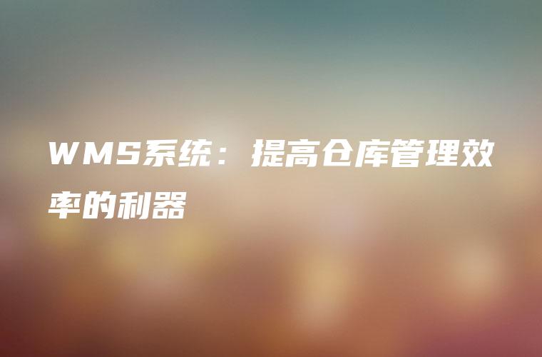 WMS系统：提高仓库管理效率的利器