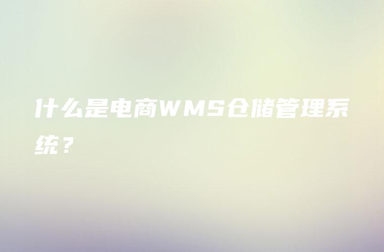什么是电商WMS仓储管理系统？