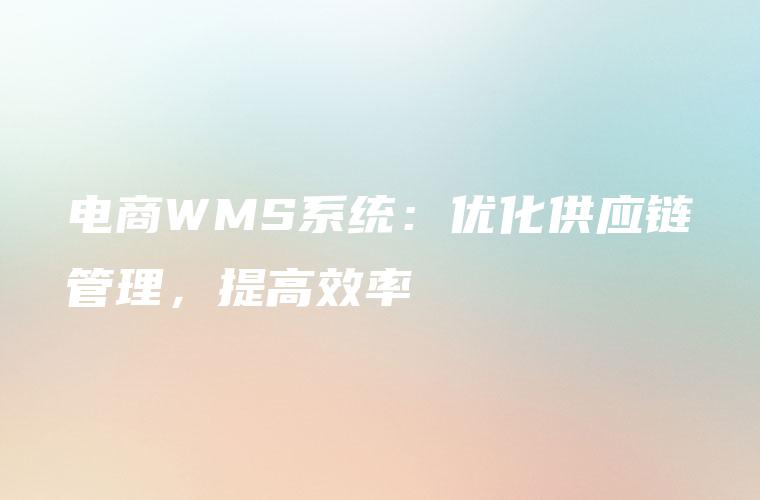 电商WMS系统：优化供应链管理，提高效率