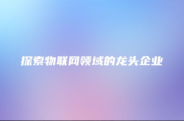 探索物联网领域的龙头企业