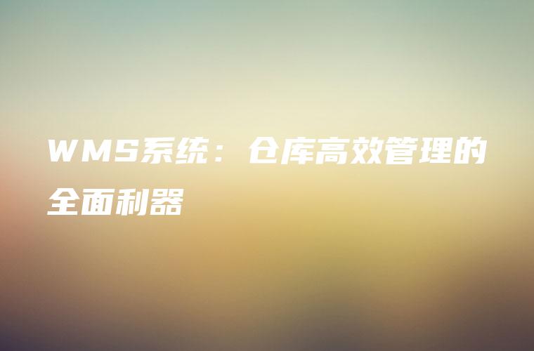 WMS系统:仓库高效管理的全面利器 WMS系统:仓库高效管理的全面利器