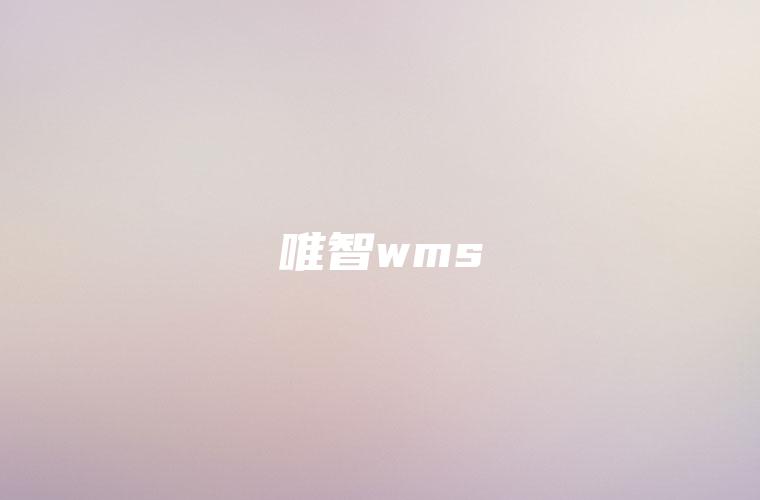 唯智wms