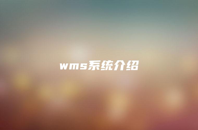 wms系统介绍 wms系统介绍