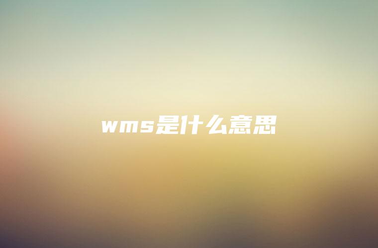 wms是什么意思 wms是什么意思