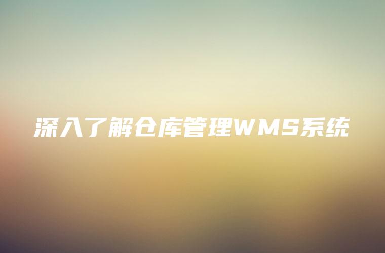 深入了解仓库管理WMS系统 深入了解仓库管理WMS系统