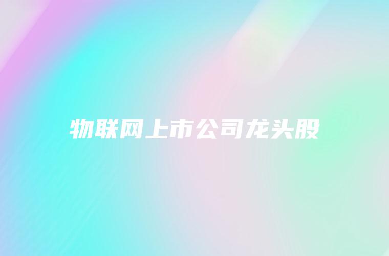 物联网上市公司龙头股