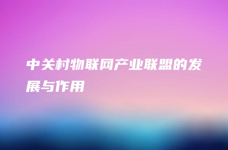 中关村物联网产业联盟的发展与作用