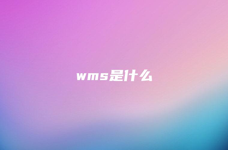 wms是什么 wms是什么