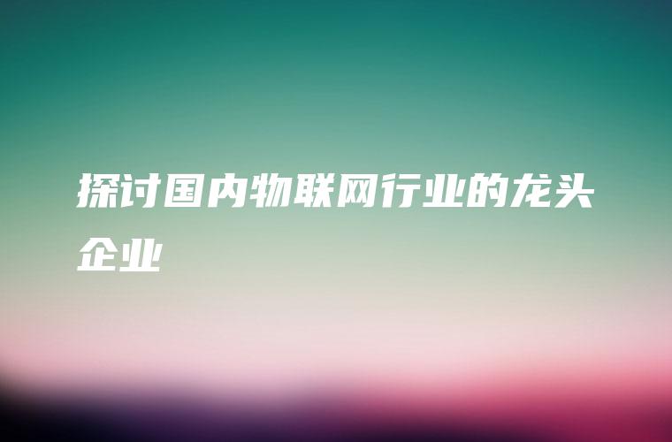 探讨国内物联网行业的龙头企业