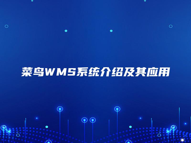 菜鸟WMS系统介绍及其应用