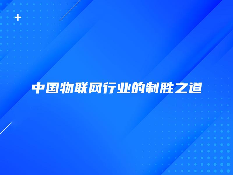 中国物联网行业的制胜之道 中国物联网行业的制胜之道