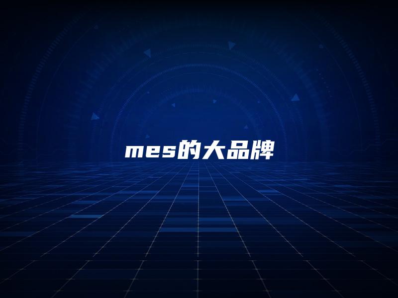 mes的大品牌 mes的大品牌