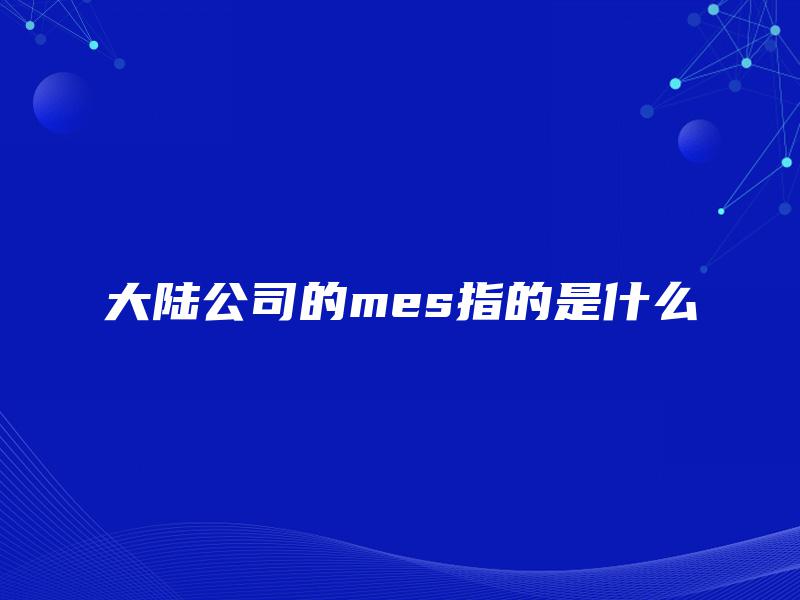 大陆公司的mes指的是什么 大陆公司的mes指的是什么
