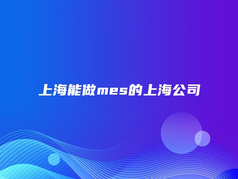 上海能做mes的上海公司