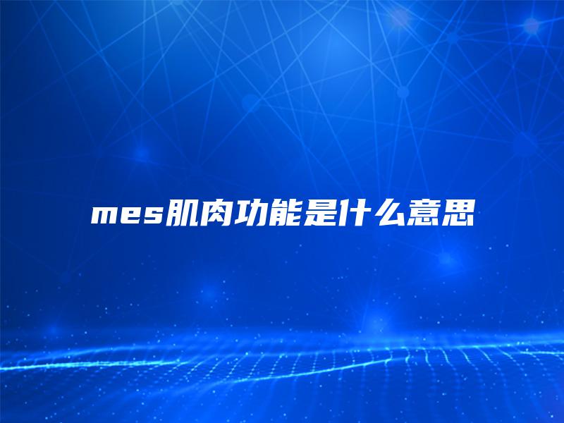 mes肌肉功能是什么意思