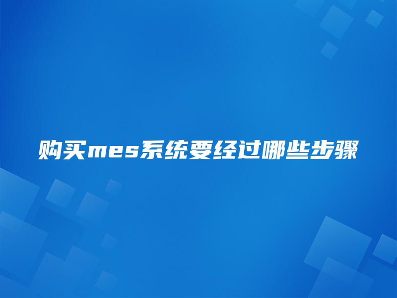 购买mes系统要经过哪些步骤