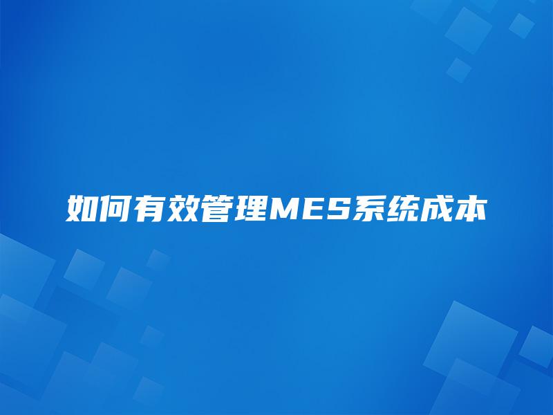 如何有效管理MES系统成本