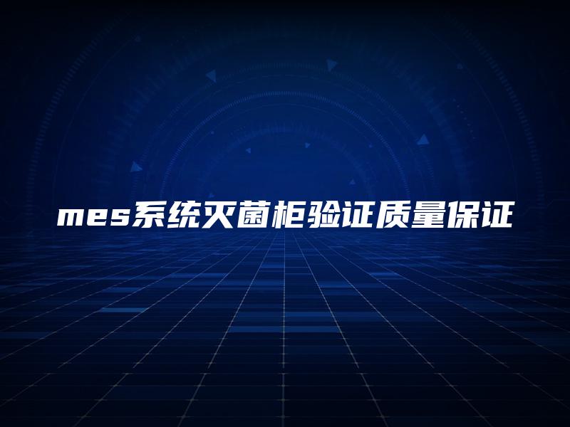 mes系统灭菌柜验证质量保证 mes系统灭菌柜验证质量保证