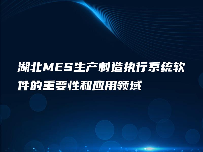 湖北MES生产制造执行系统软件的重要性和应用领域