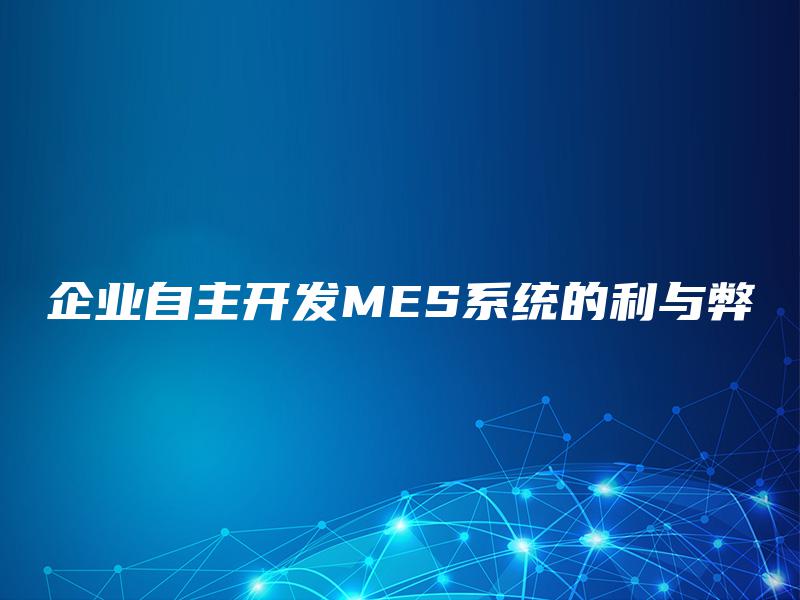 企业自主开发MES系统的利与弊