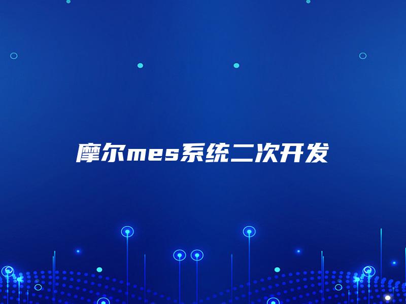 摩尔mes系统二次开发