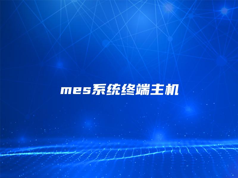mes系统终端主机