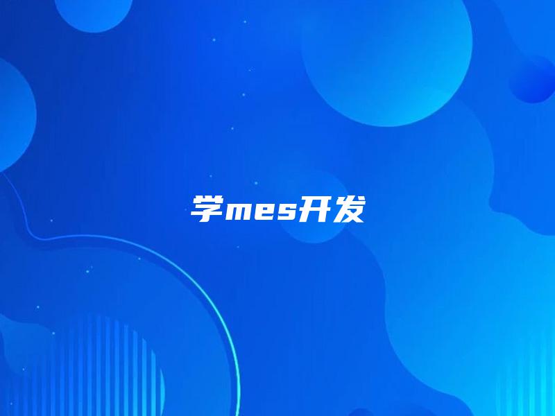 学mes开发