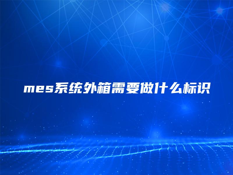 mes系统外箱需要做什么标识