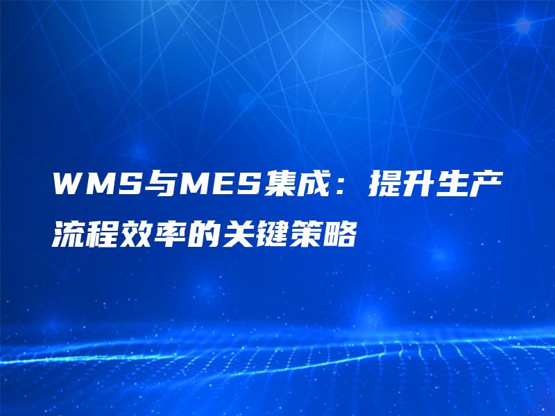 WMS与MES集成：提升生产流程效率的关键策略