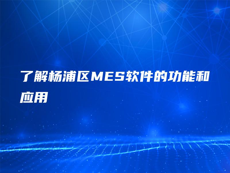 了解杨浦区MES软件的功能和应用