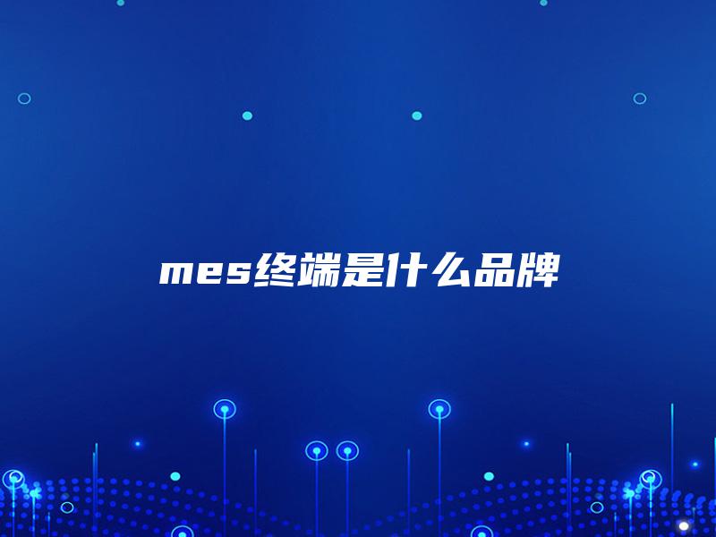 mes终端是什么品牌