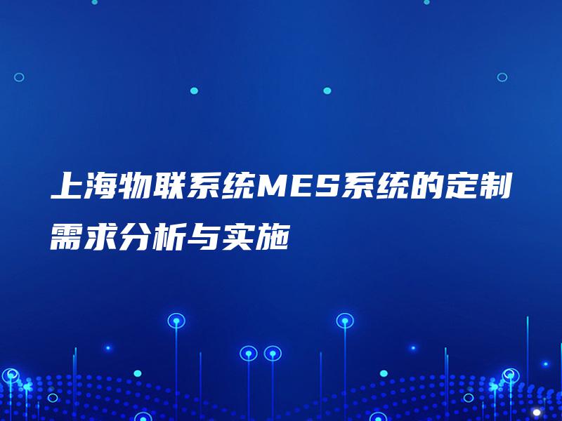上海物联系统MES系统的定制需求分析与实施