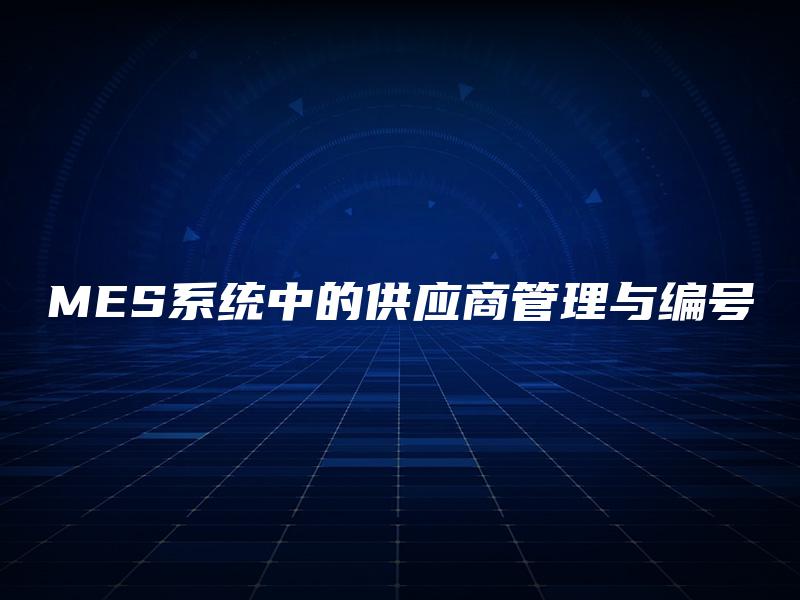 MES系统中的供应商管理与编号