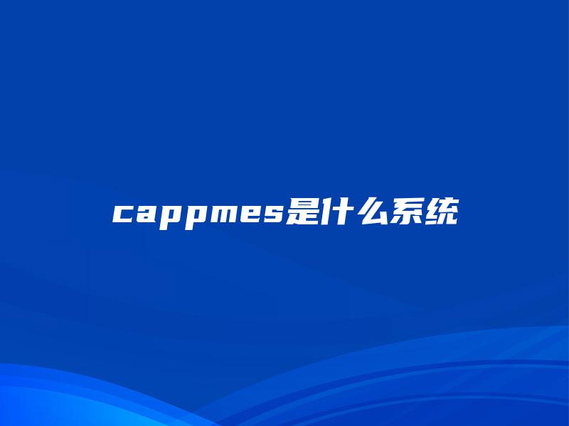 cappmes是什么系统