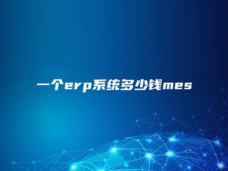 一个erp系统多少钱mes