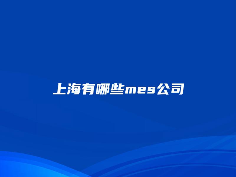 上海有哪些mes公司 上海有哪些mes公司