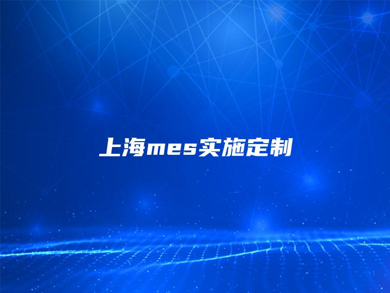 上海mes实施定制 上海mes实施定制