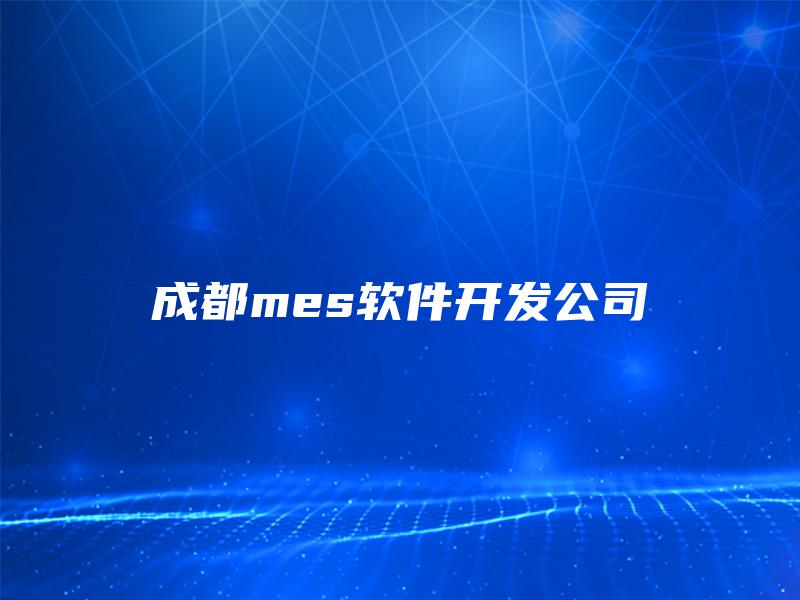 成都mes软件开发公司