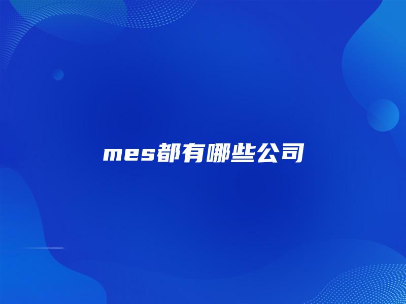 mes都有哪些公司